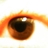 Dscf0384